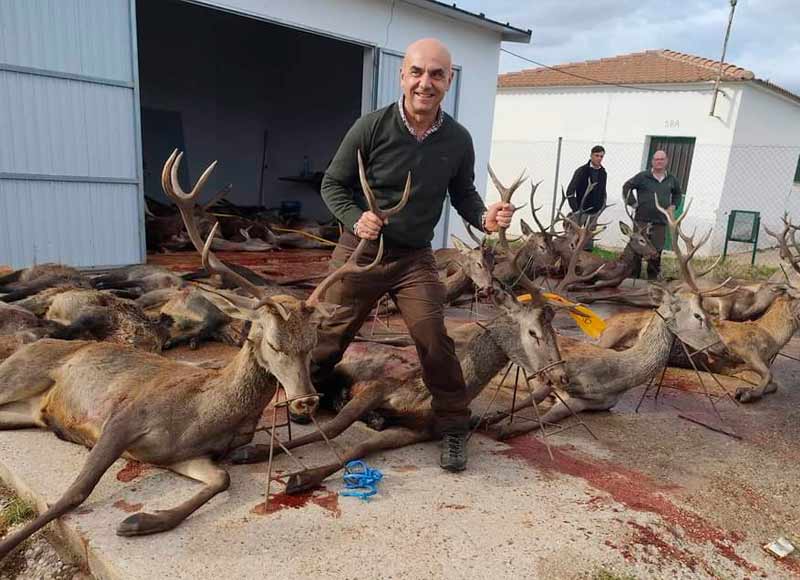 Resultado Montería Valdehornos 2024 Monteros de Ciudad Real